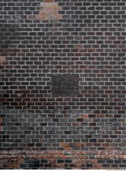 Photo Textures of Wall Bricks